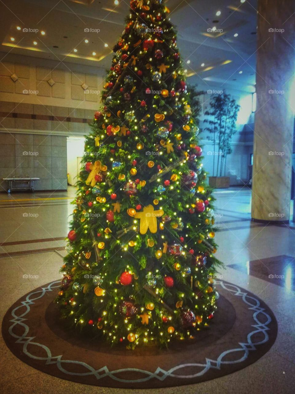 árvore de natal tree Christmas