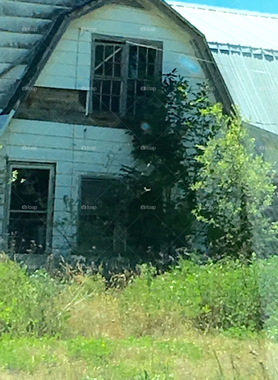 Barn from Forgotten Days 🐂🐄🐂🐄