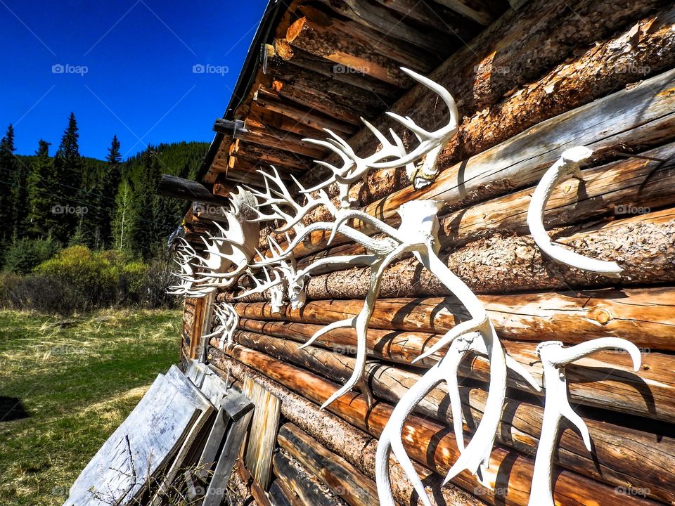 I found an off grid hunters cabin on the side of a mountain in the rockies.