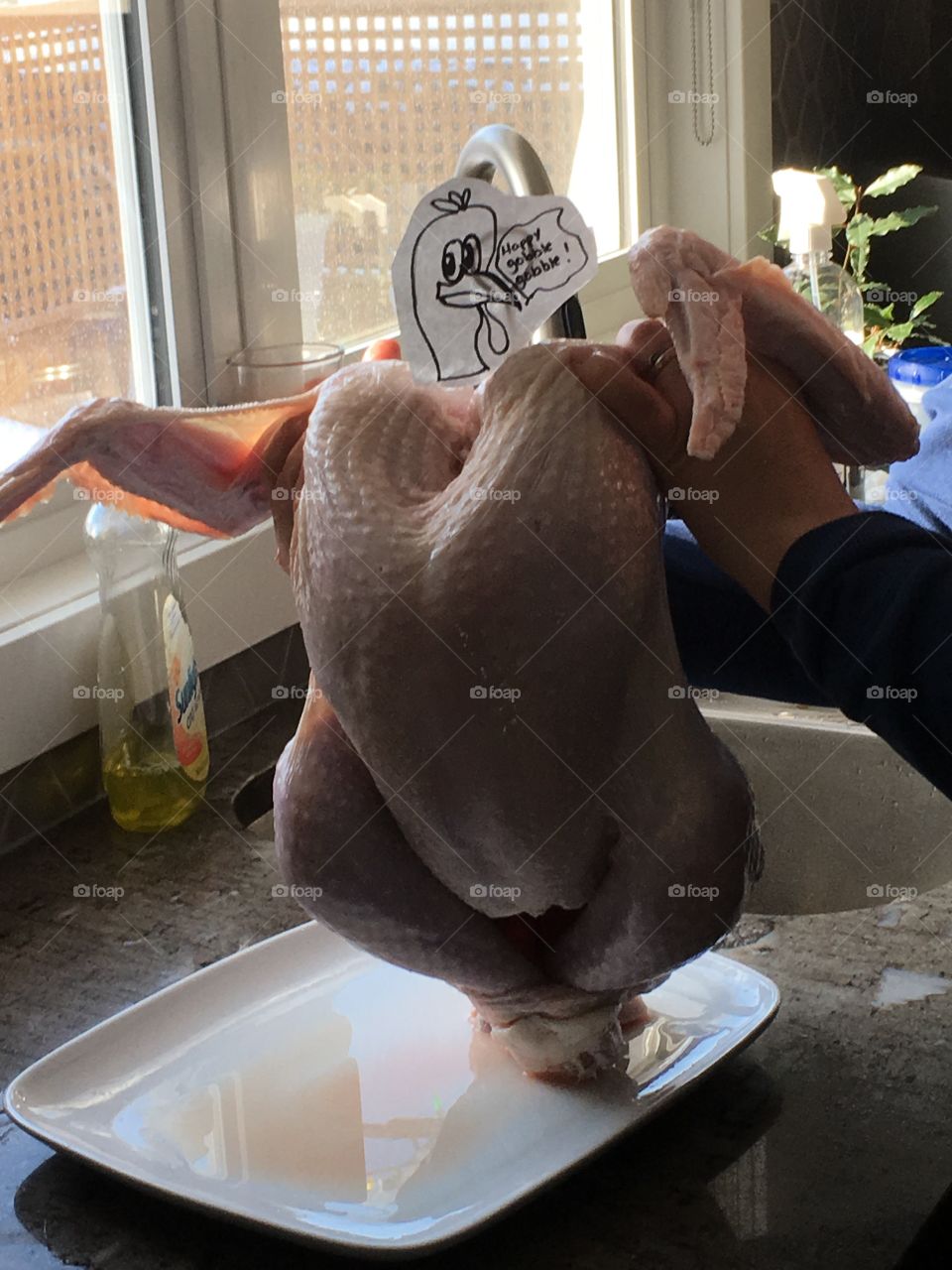 Turkey dancing 