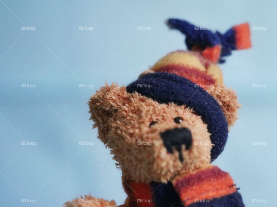 Close up of teddybear