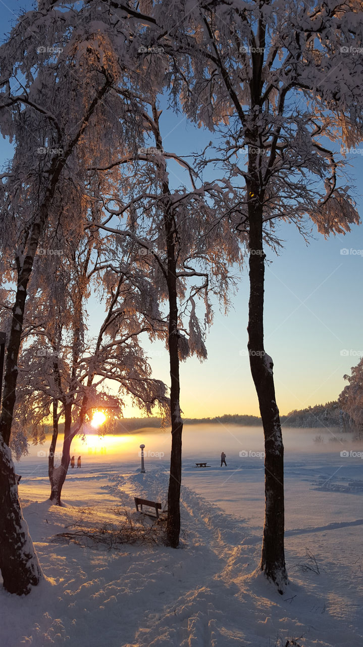 Snowy winter - sunset
