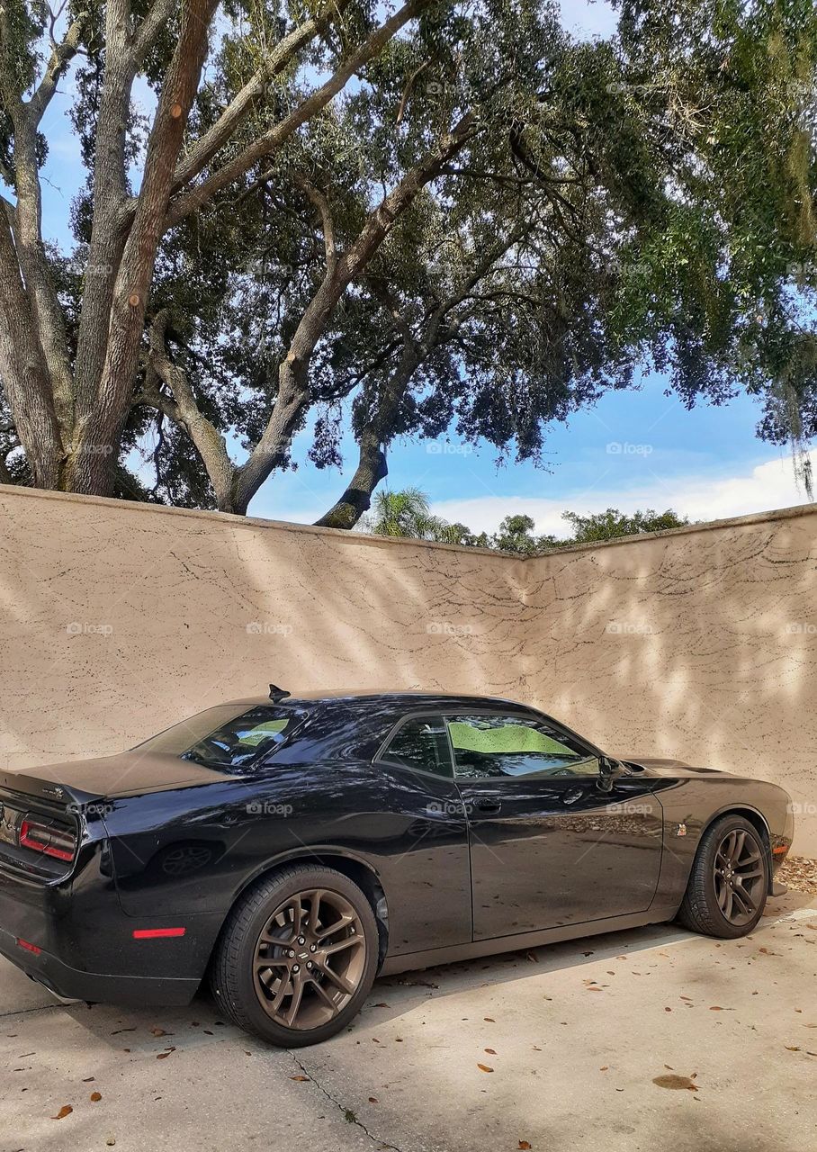 A black sports car sits in a parking spot next to a wall and under a overhanging shady tree.