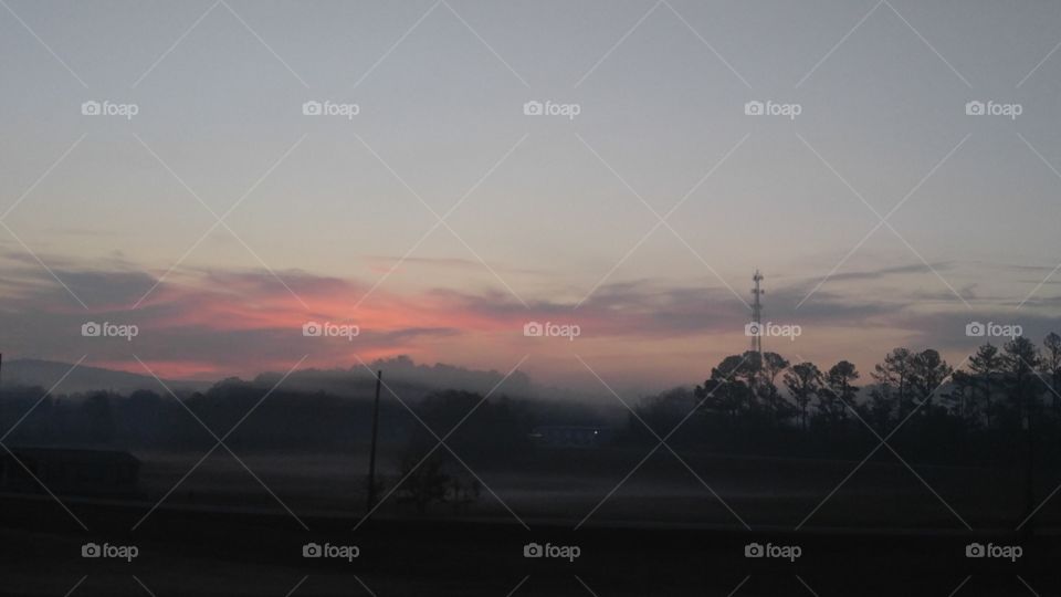 Landscape, Sunset, Fog, Dawn, Tree