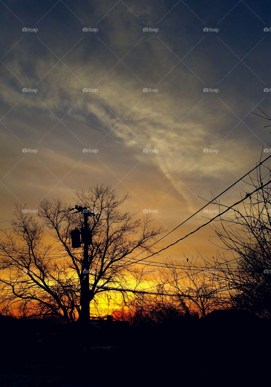 clouds and tree