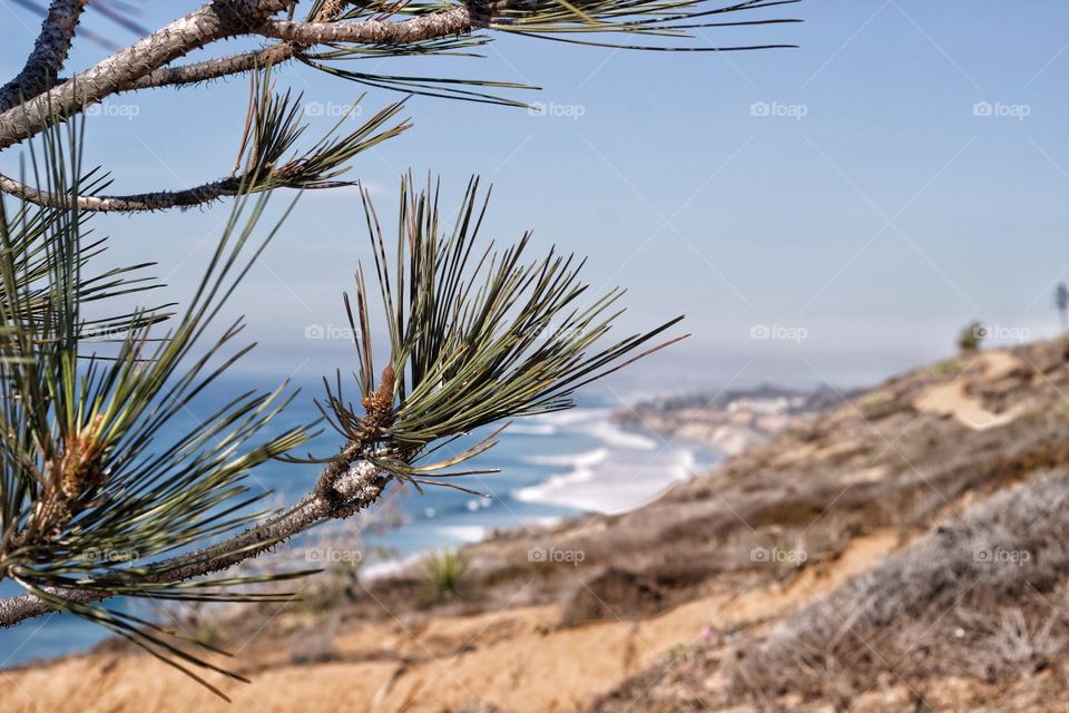 Cliffside beaches