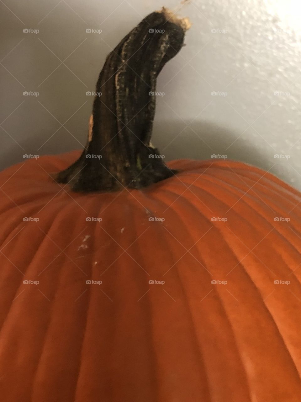 Pumpkin 