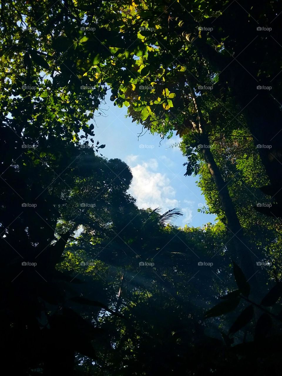 Uma abertura para o paraíso.