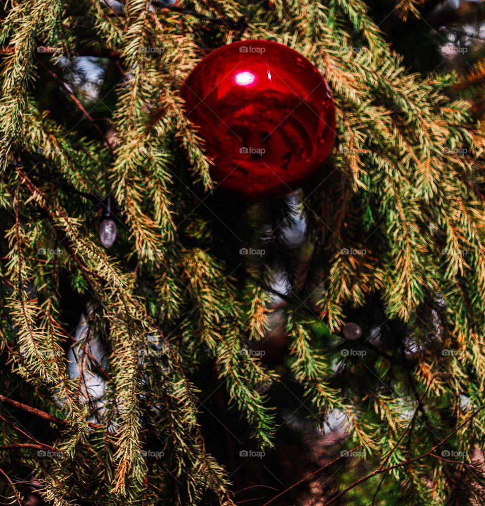 red ornament on a Christmas tree