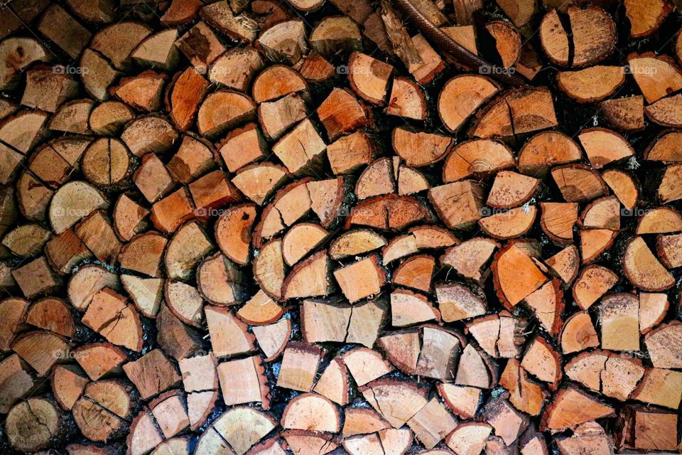 Firewood