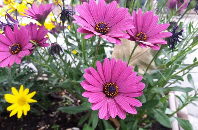 Beautiful spring!