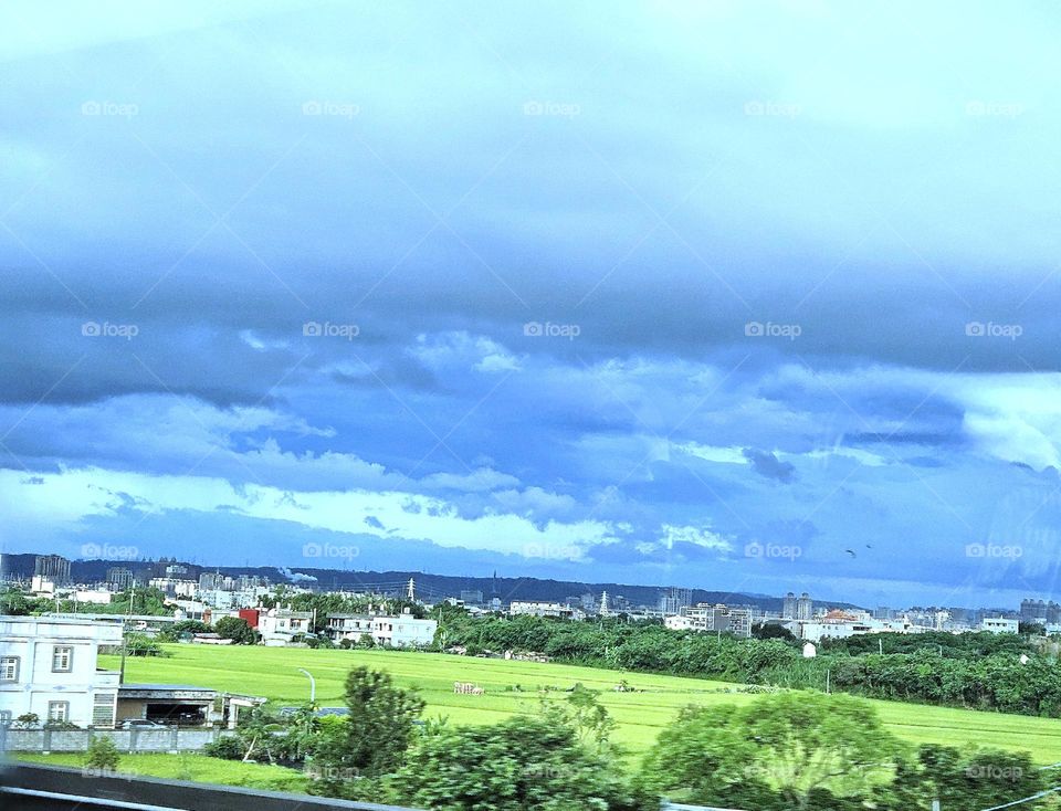 A view of the beautiful scenery of the wilderness after the rain