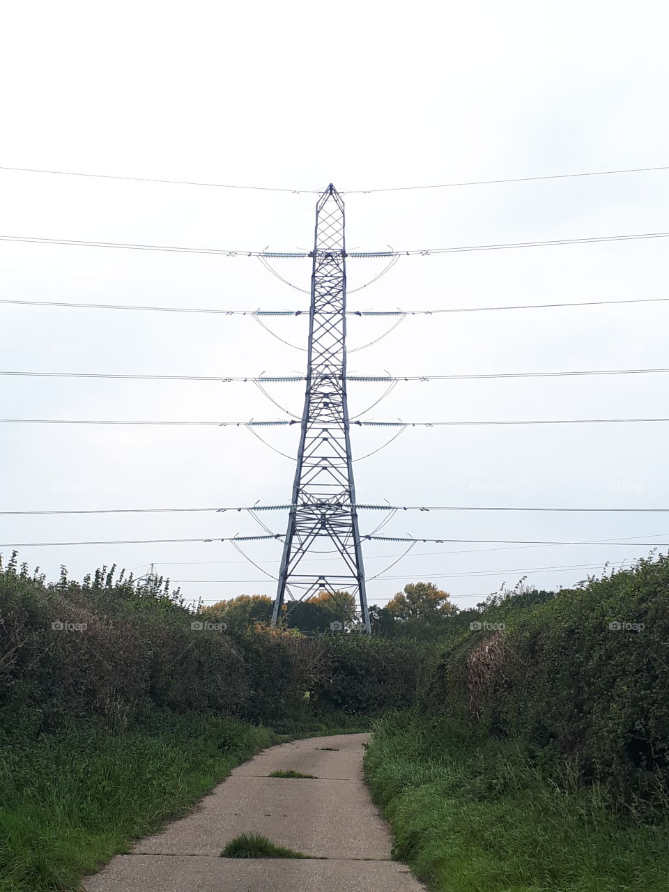 Electricity, Sky, Wire, No Person, Power