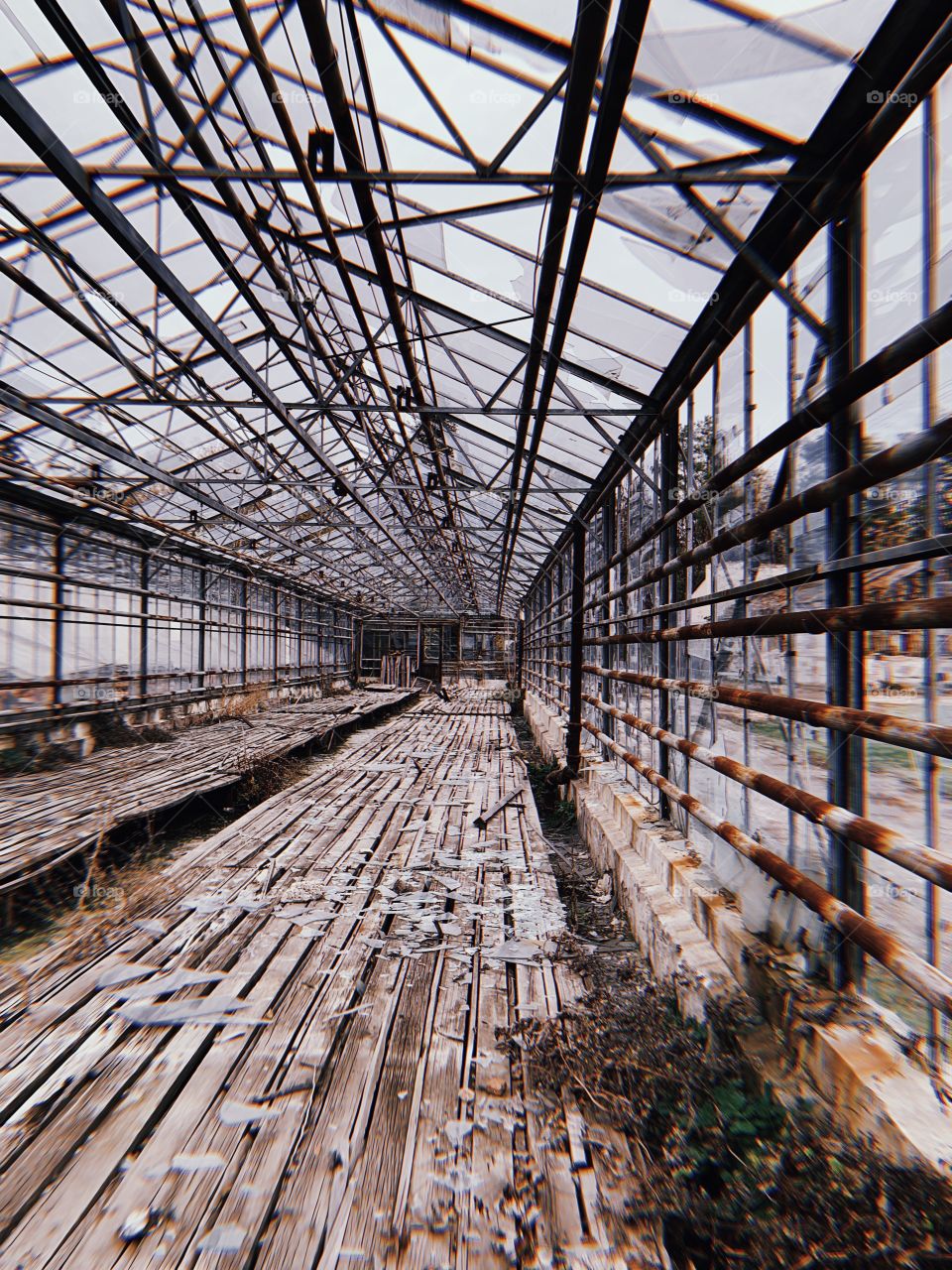 Old abandoned greenhouse 