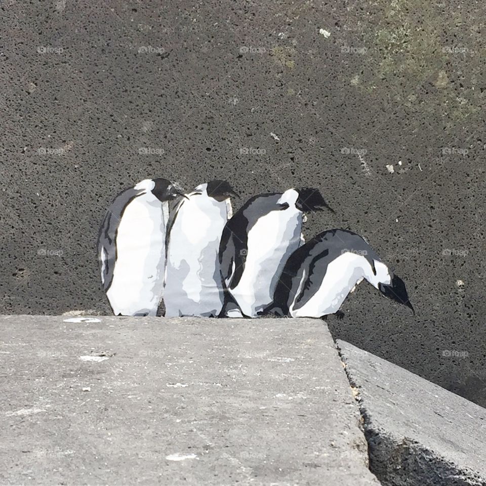 Art Pinguins 