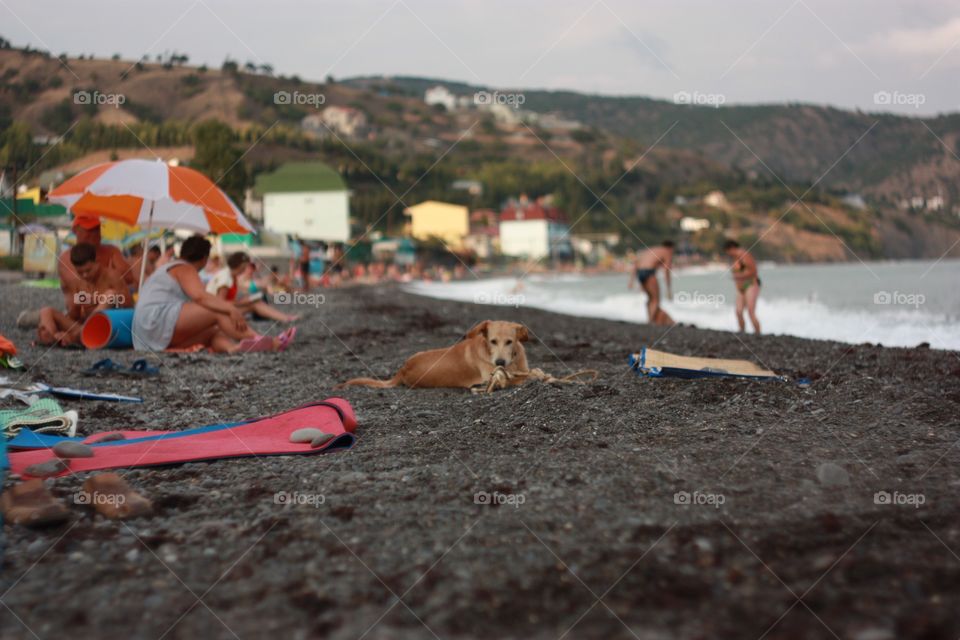 Beach, Water, Seashore, People, Sea