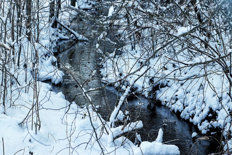 Winter Forest River with Snow