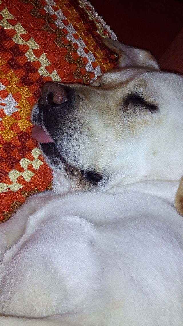 sleepy