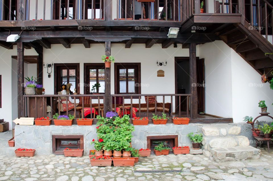 Urban nature Plants, Spring in Karlovo, Bulgaria