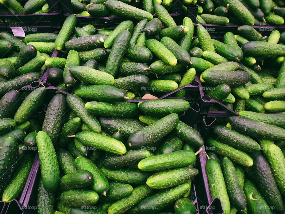 Green cucumbers