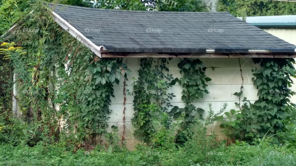 abandoned house