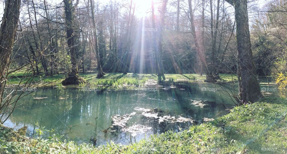 Heaven on earth, so peaceful.