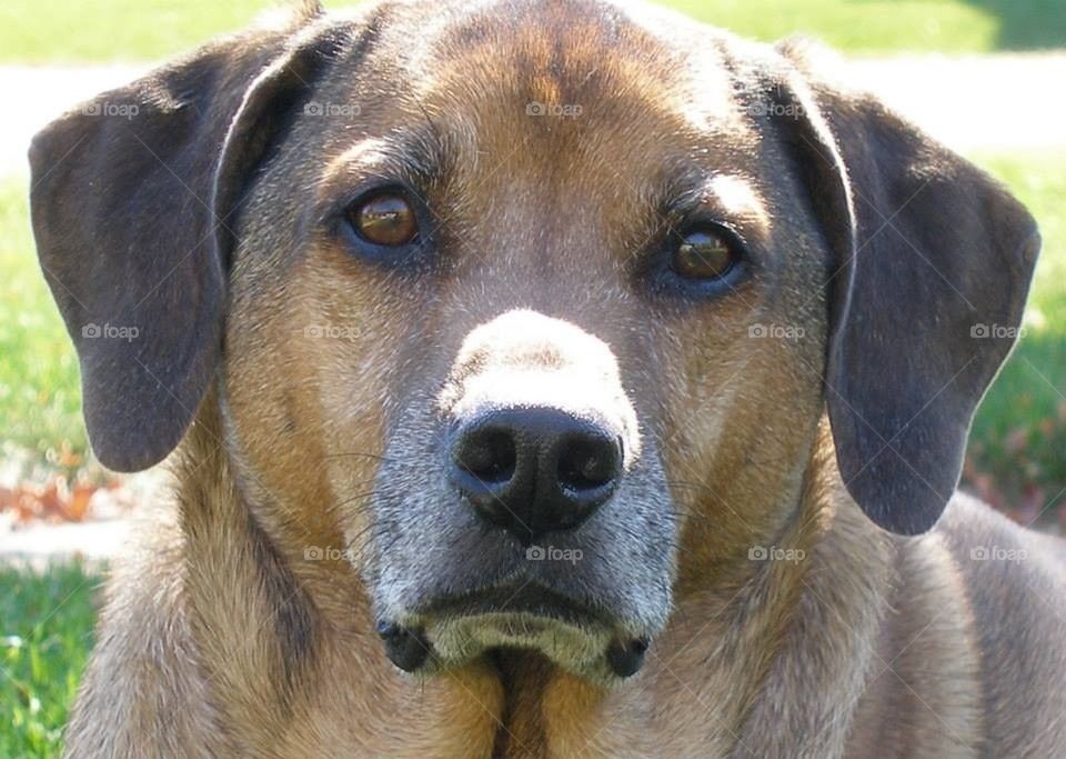 Cooter Up Close And Personal