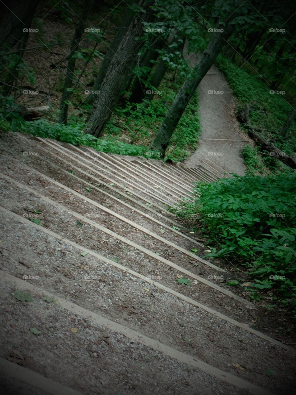 Empire Bluffs
Michigan 