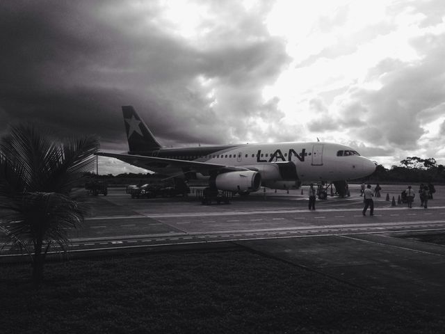 Flight