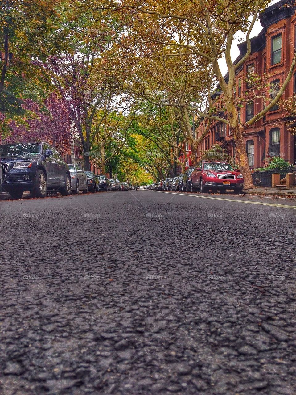 The fall street
