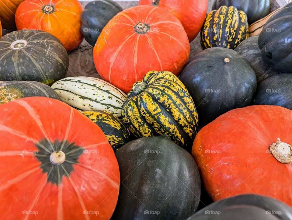 Vibrant colors of fall