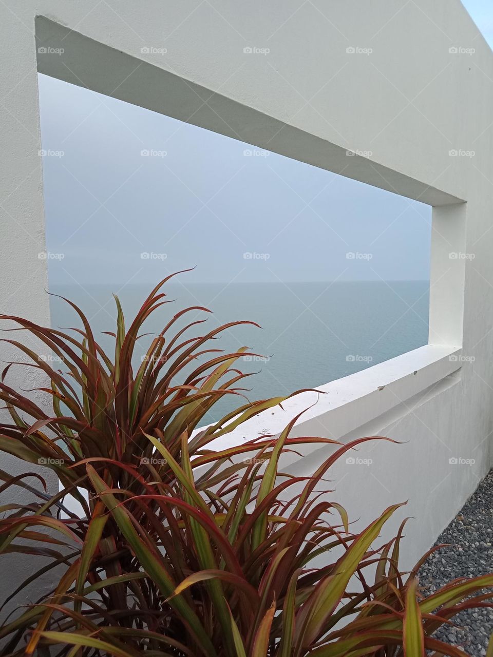 Window on ocean