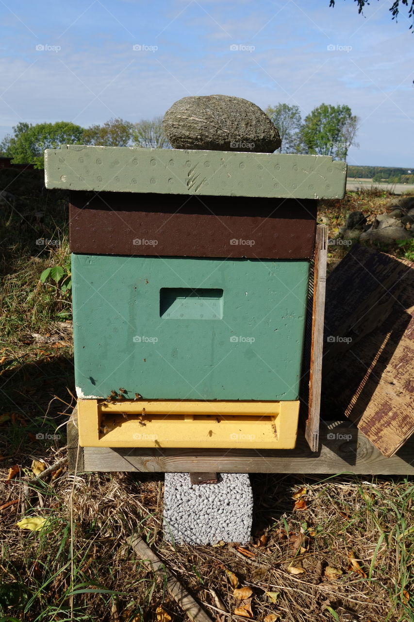 These lovely beehives can be found in a small place called Vargön ( Wolfisland). The need were very active but I managed to get some photos without getting stung.