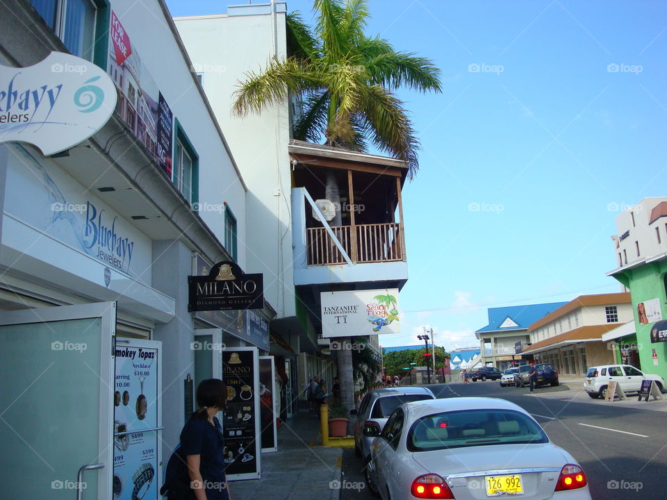 Carnival Legend cruise in the Caribbean. Stopped at one of the islands. This palm tree goes through the balcony. 