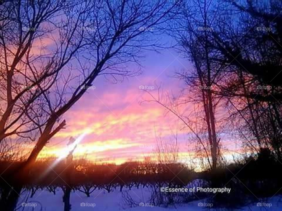Sunset in my back yard. Colorful and beautiful