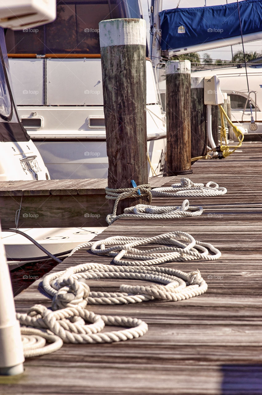 ropes. walking the docks