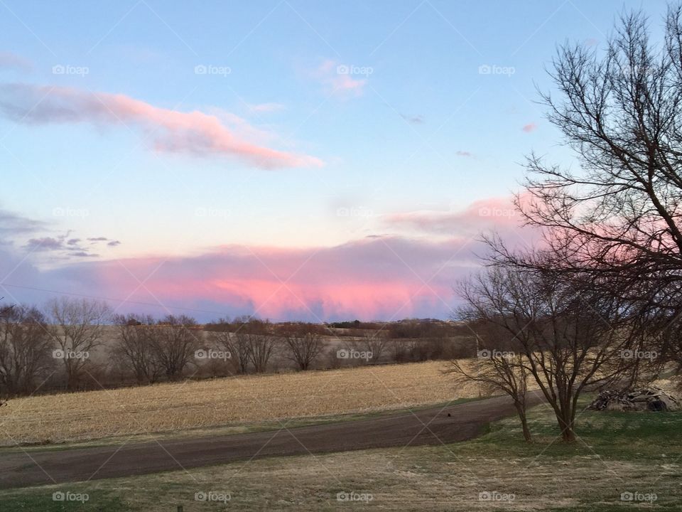 Pink Clouds