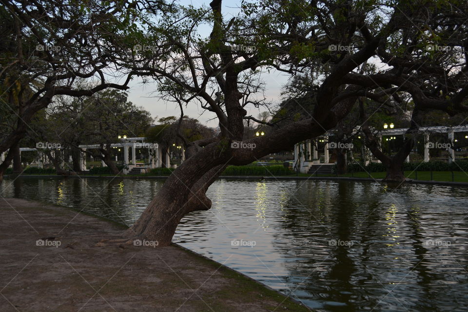 Beautiful park in Palermo, Buenos Aires