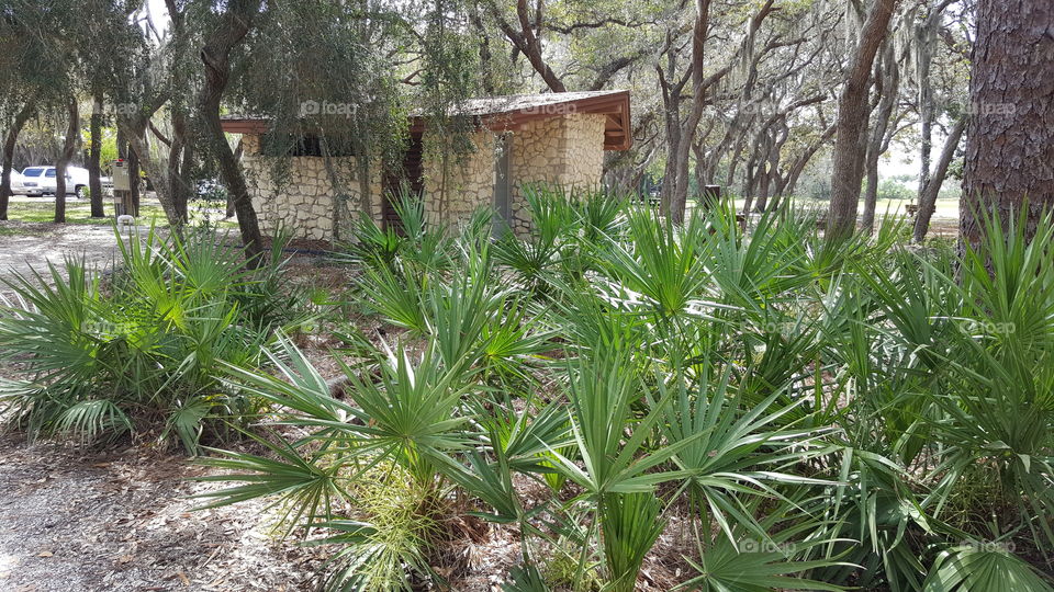 fauna- Howard Park  - Tarpon Springs FL