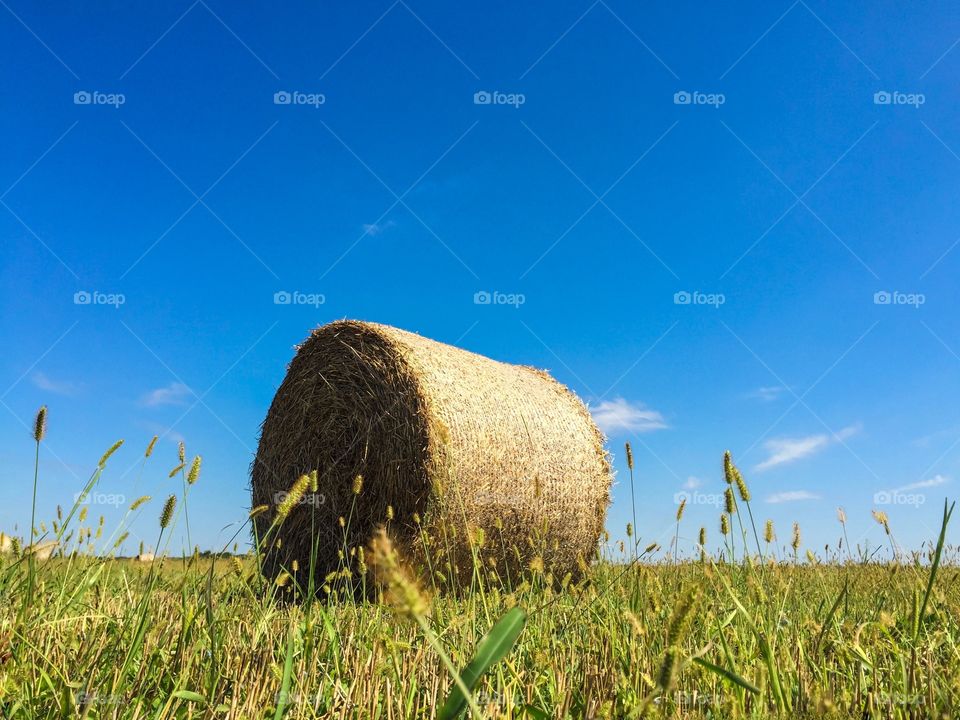 Single bale of hay in the field on a sunny day with blue sky