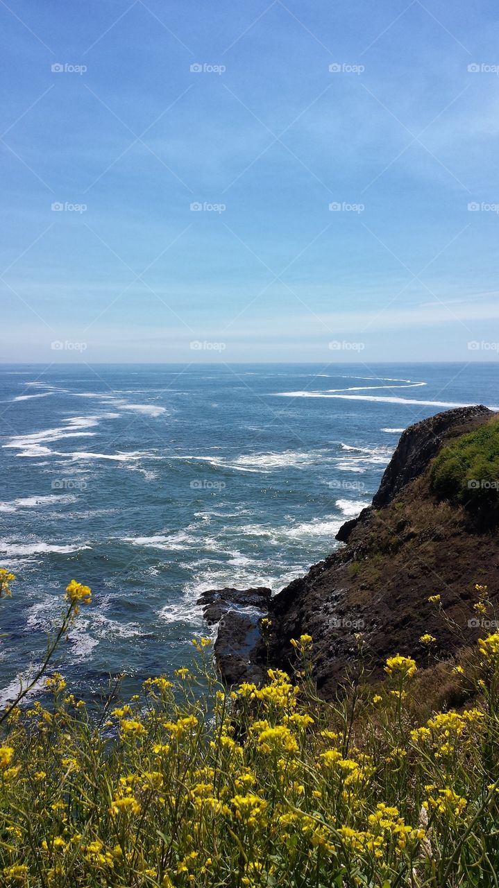 Oregon Coast