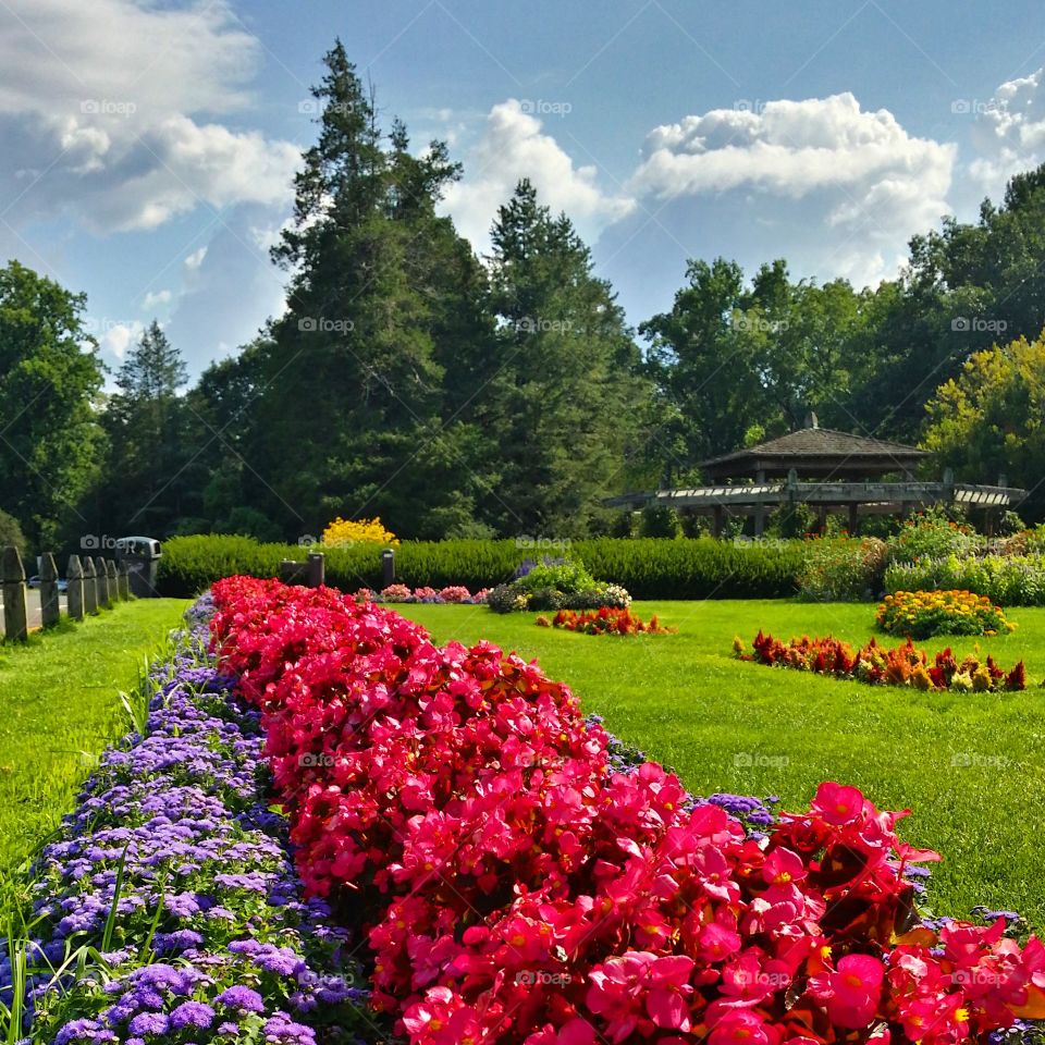 Public garden in Hartford, Connecticut.