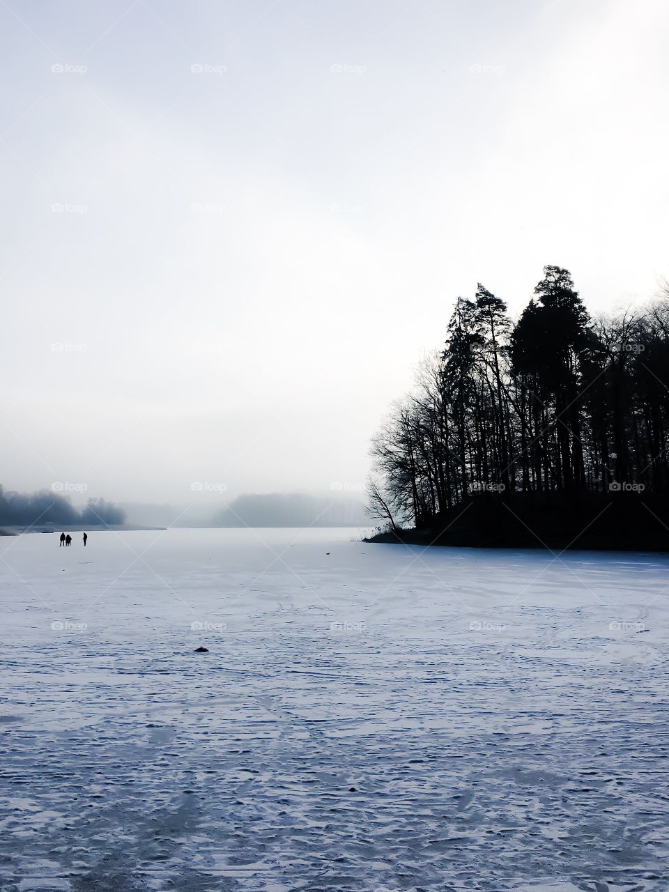 Frozen lake in winter