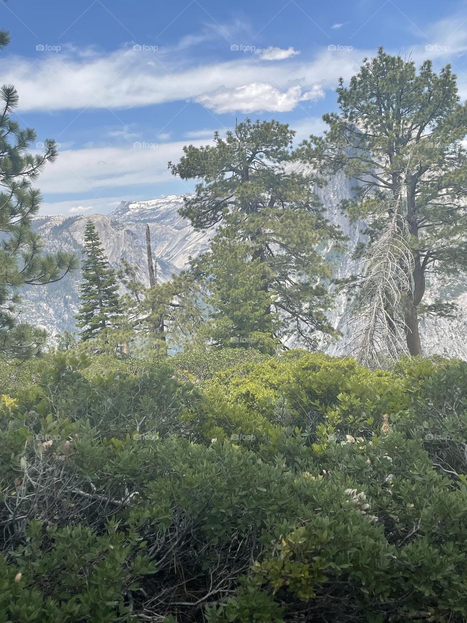 These greenery!! Any guess where is this??? 