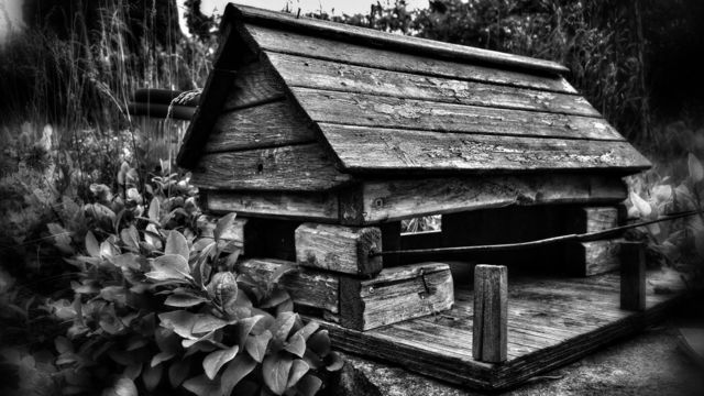 birdhouse 