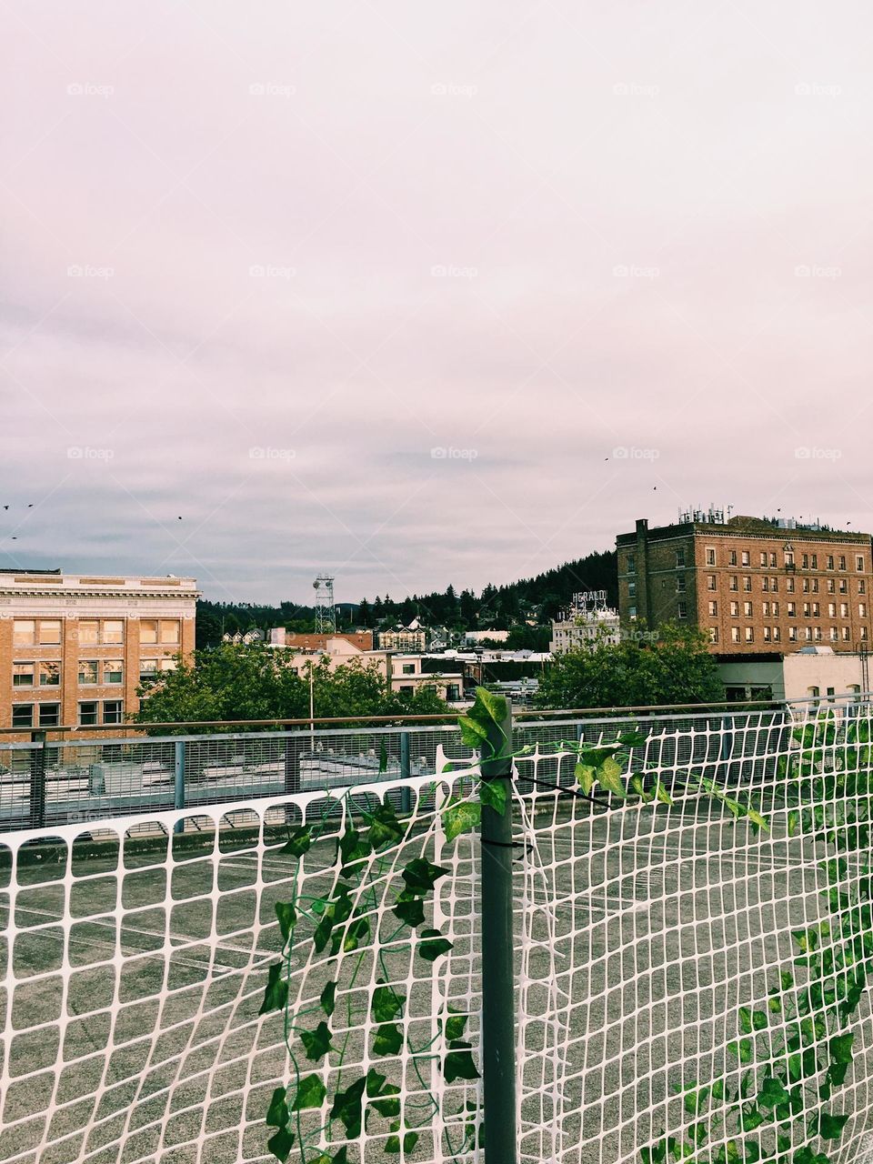 Rooftop view in Bellingham 