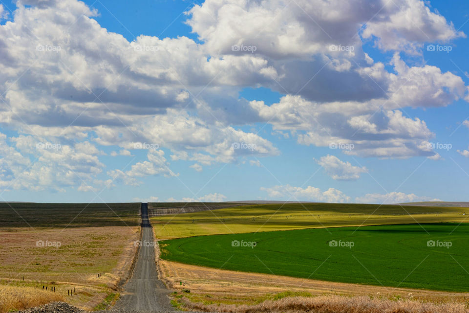 Prairie Scenic View Back Roads Oregon Countryside