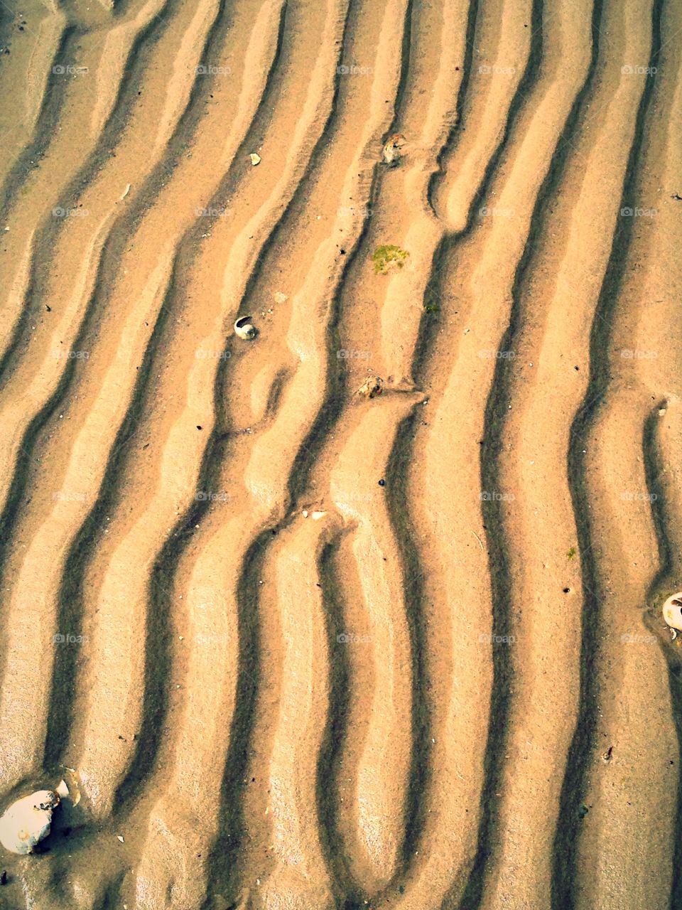 Footprints Of The Tide