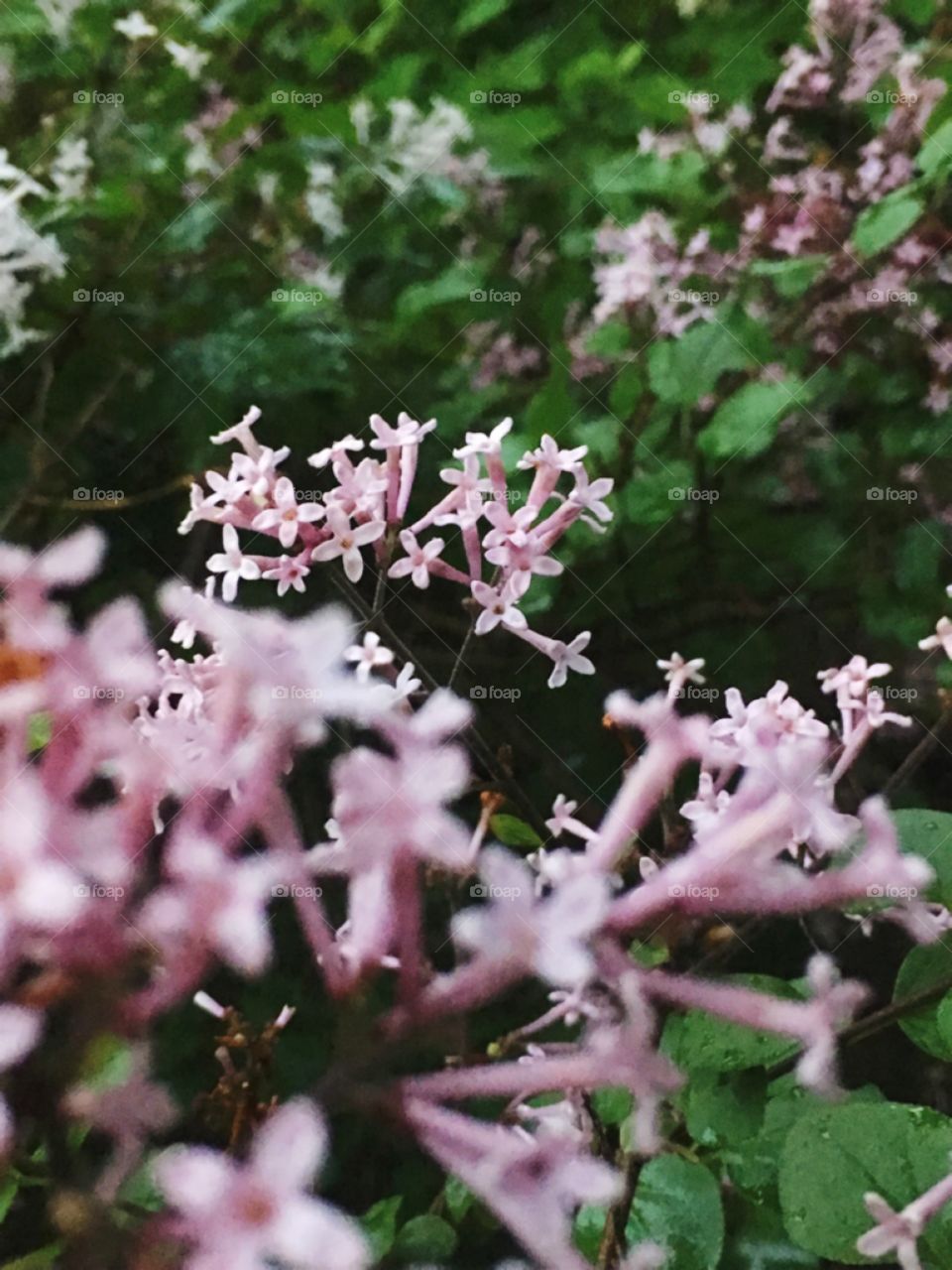 Spending time with flowers is always a beautiful day