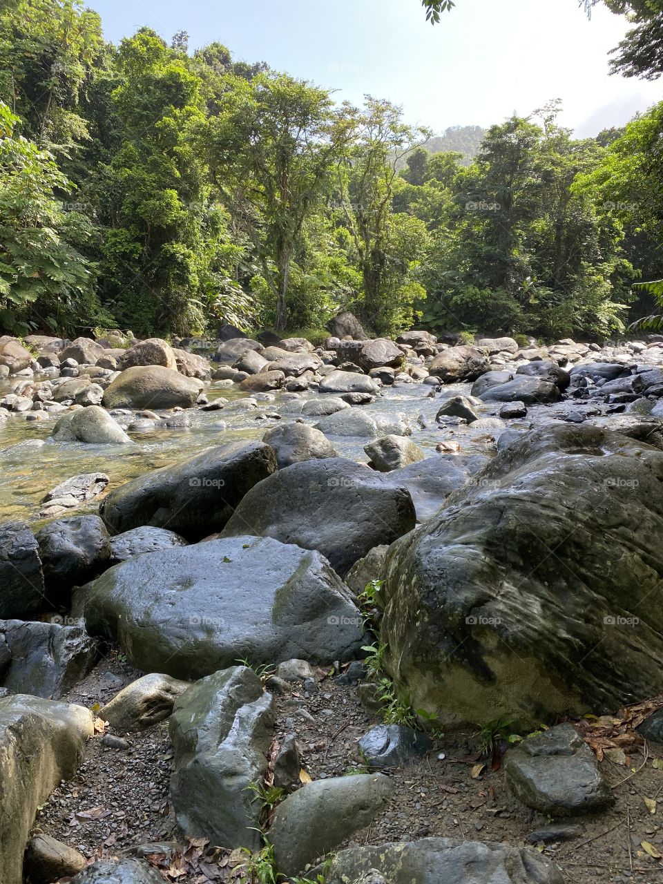 Natural Pool in El Yunque Rainforest